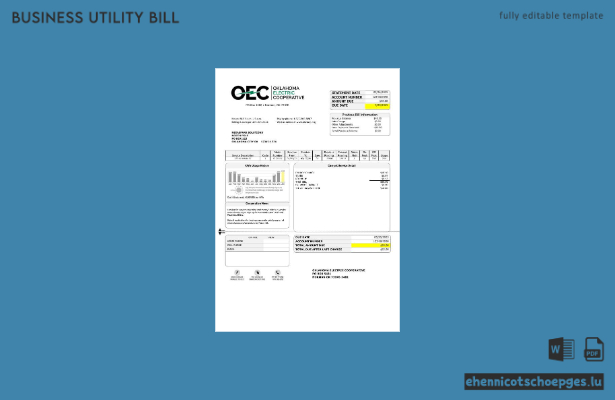 Beispiel einer Stromrechnung für Unternehmen in den USA (OEC)